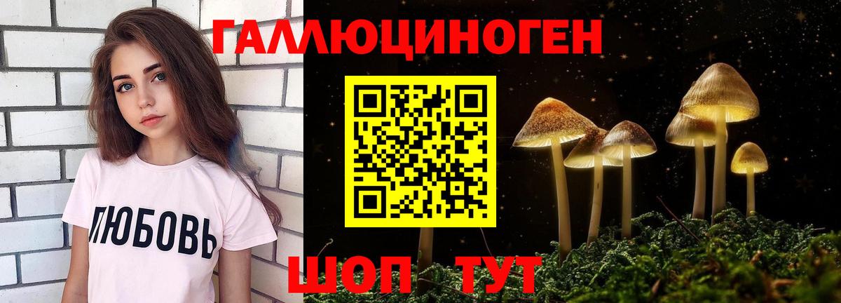 Комсомольск-на-Амуре  Галлюциногенные грибы GOLDEN TEACHER  Вход с VPN 